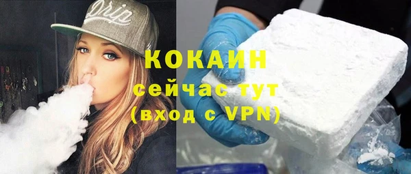 шишки Няндома