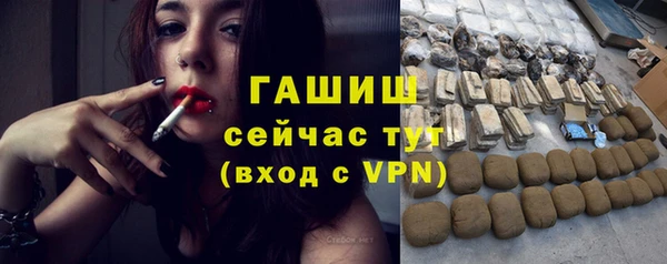 шишки Няндома