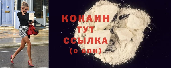 шишки Няндома