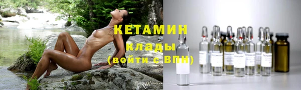 шишки Няндома