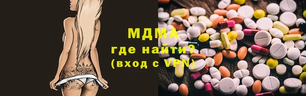 шишки Няндома