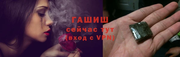 шишки Няндома