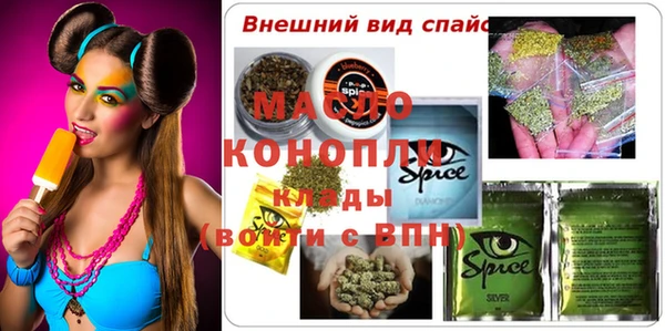 шишки Няндома