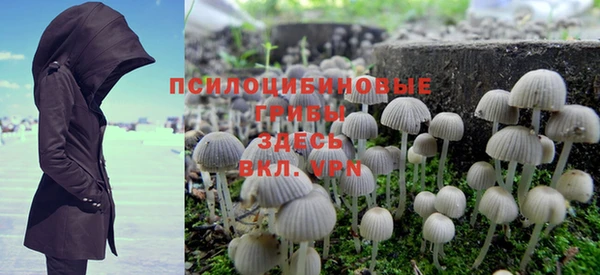 Альфа ПВП Осташков