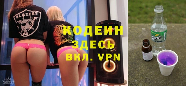 шишки Няндома
